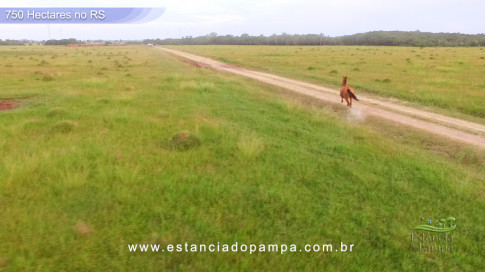 Os Tiranos - Bailando o chamamé [VDownloader].00_02_20_09.Quadro004_f934528962e956e33200c8aa5254fa0bd688f8b7.jpg